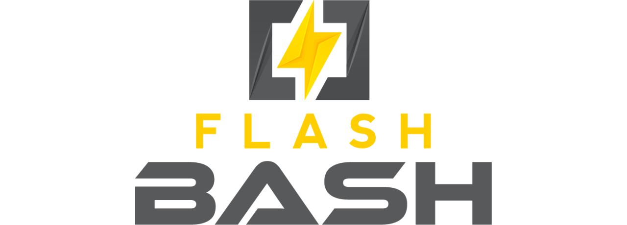 Introducing Flash BASH